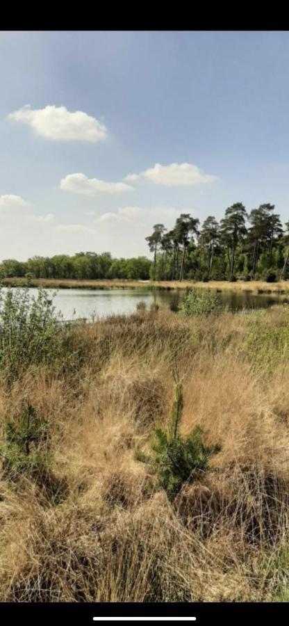 Safarihuisje Met Airco! Oisterwijk Exterior foto